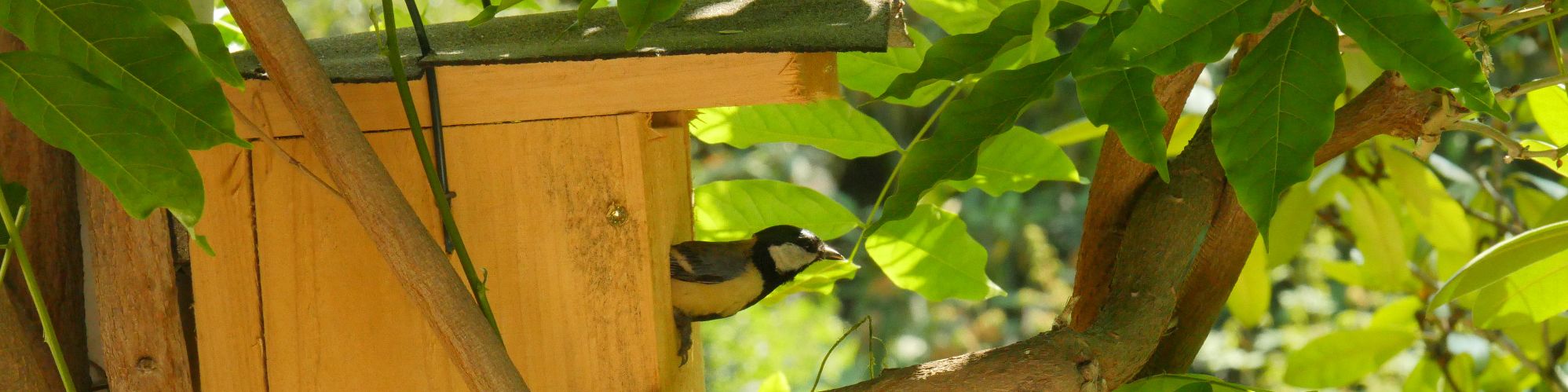 Ich möchte mich engagieren