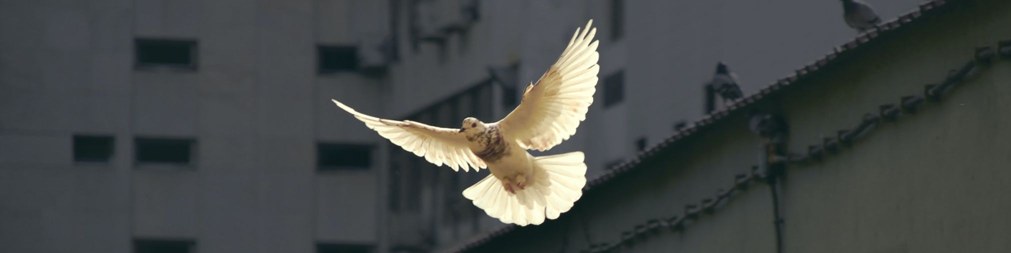 Photo by Sunguk Kim on unsplash