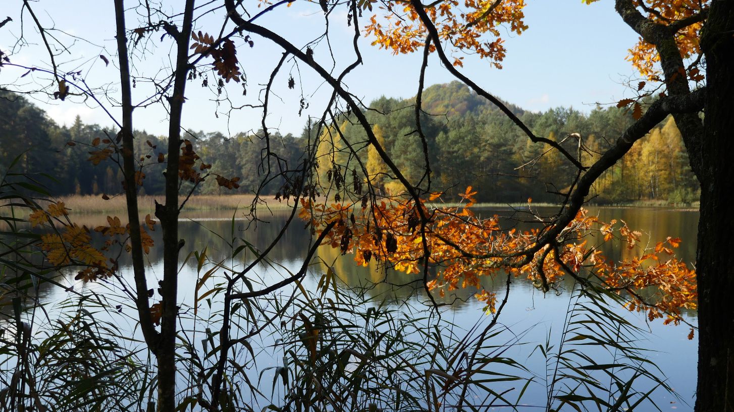erweiterter Rückblick